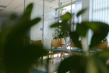 Begegnungsstätte Pflanzen